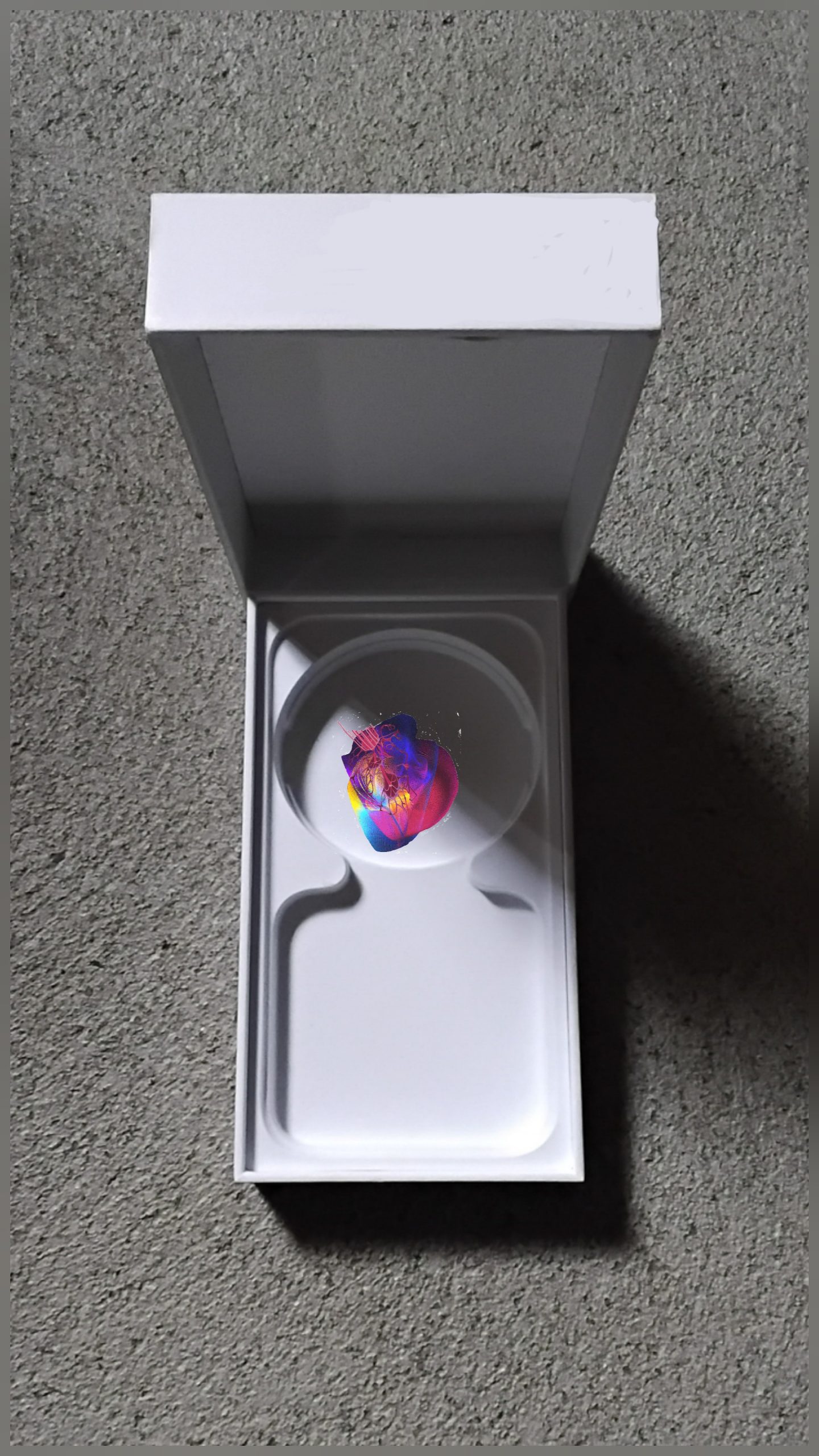 lost and found I transatlantic I 2025 © Jasmin Liebetrau