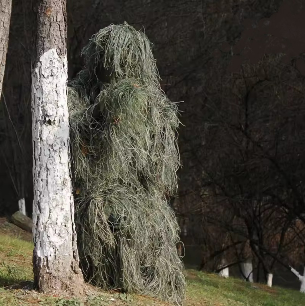 βῆτα Bushman in pili style