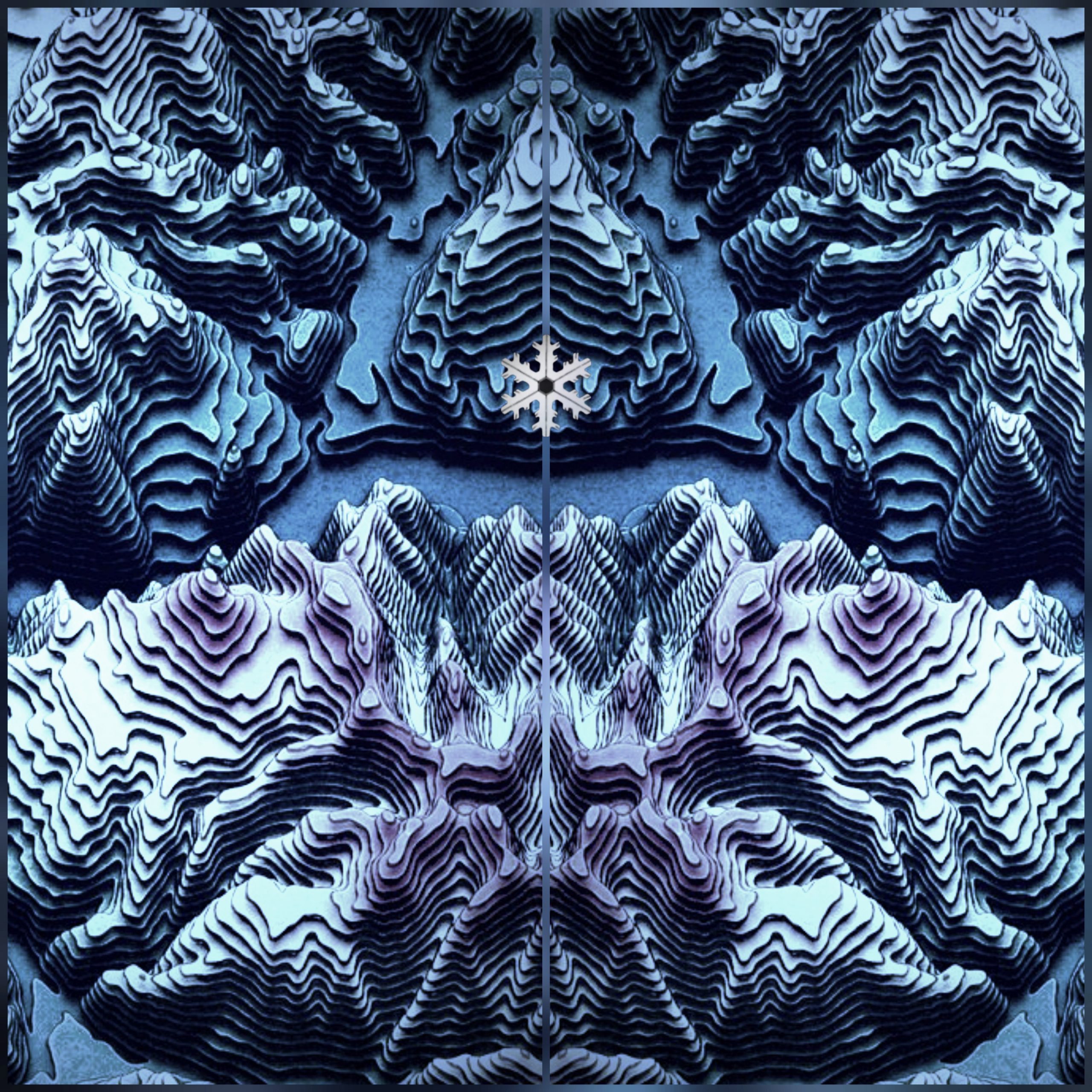 winter fractals I I 2026 © Jasmin Liebetrau