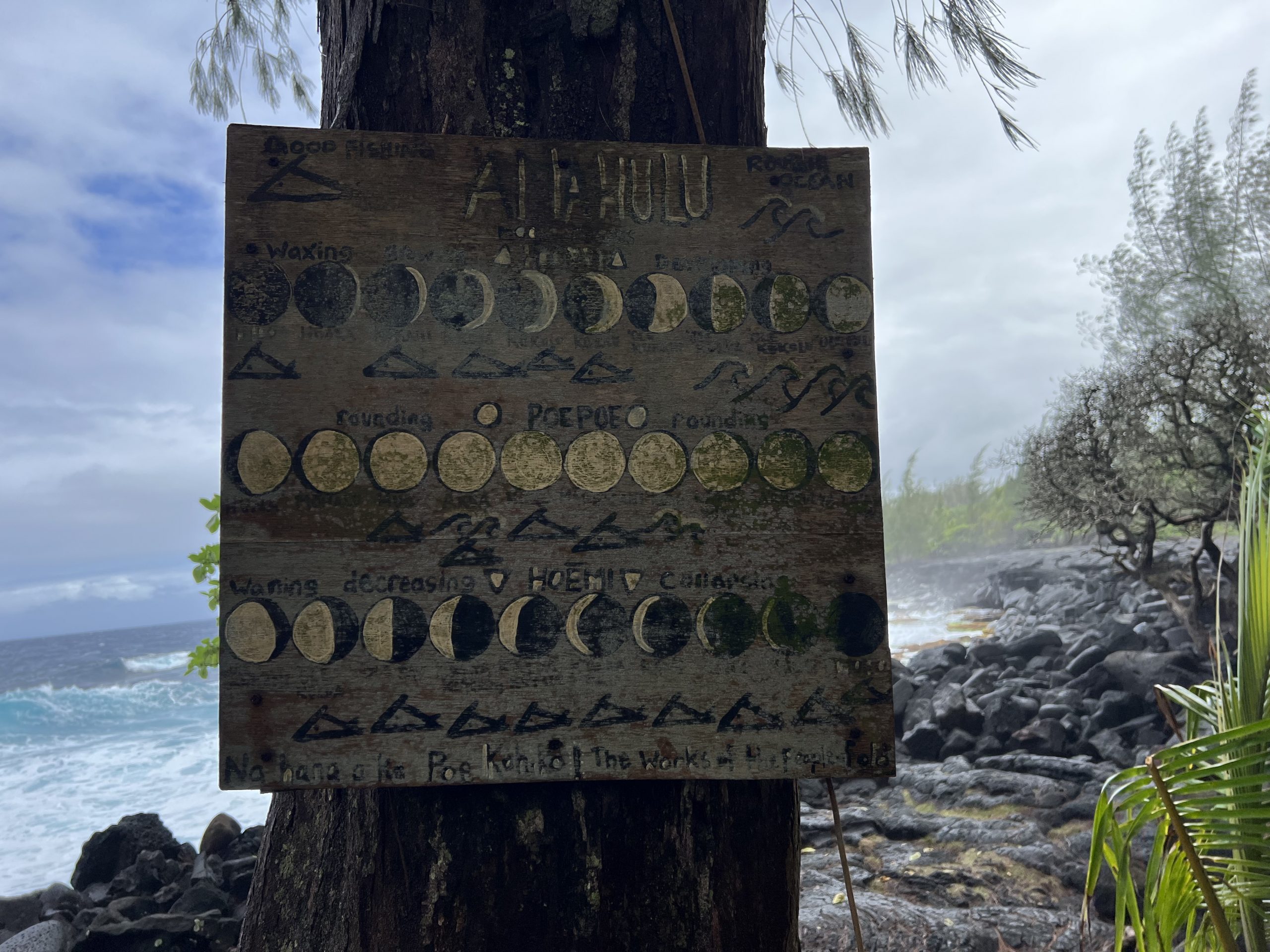 Hawaii - Big Island in USA I Fishing schedule I 2023 © Jasmin Liebetrau