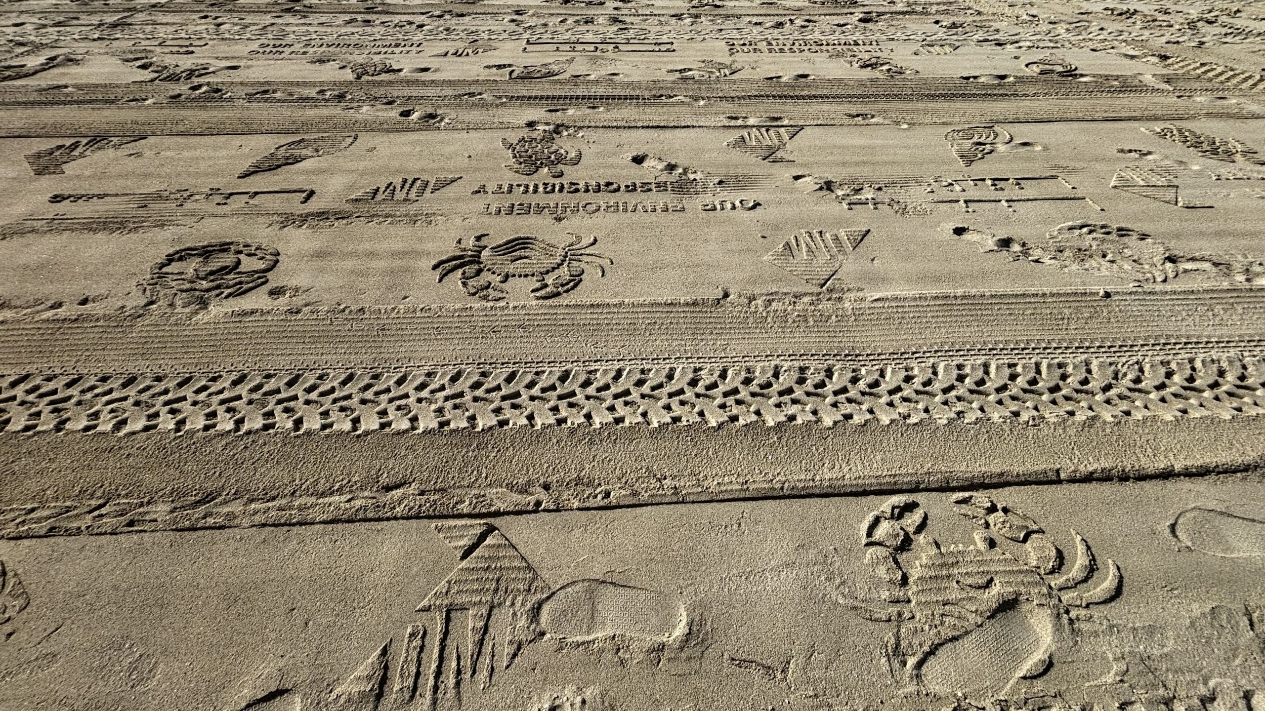 Beach caterpillar motif printing to inform about taking care of environment and animals living there I seen in Dubai I Photography I 2023 © Jasmin Liebetrau